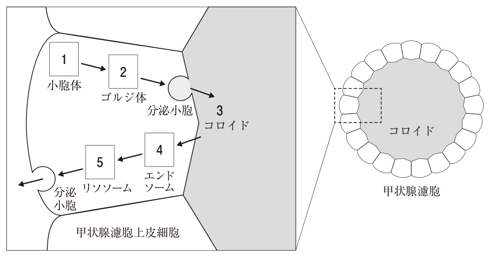 問題の図
